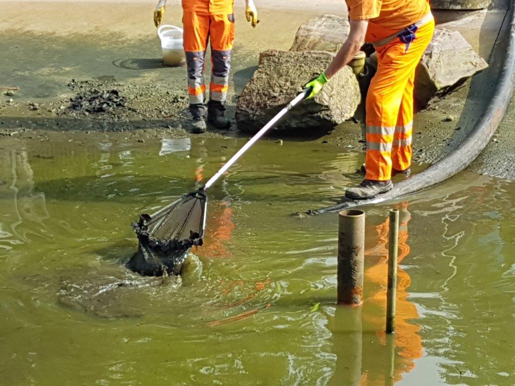 Käscherarbeit