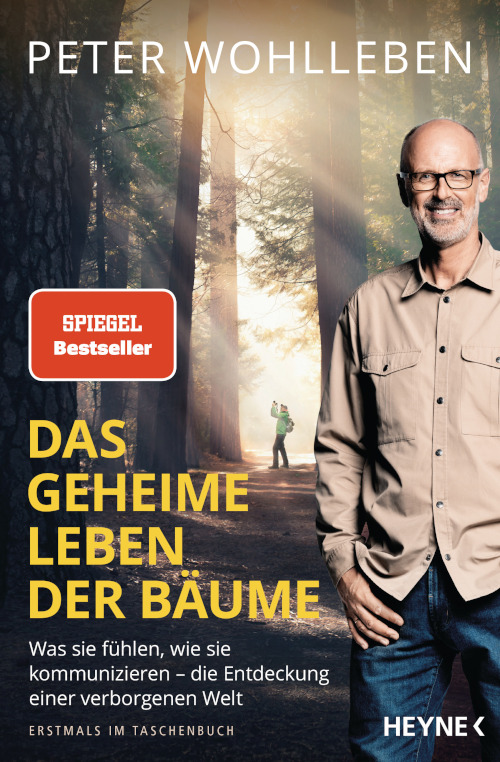 Wohlleben PDas Leben der Baeume Film 232502
