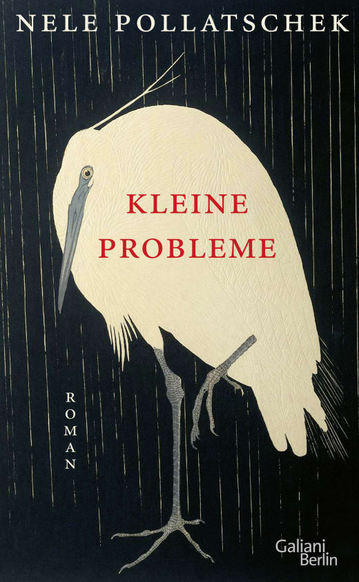 kleine probleme