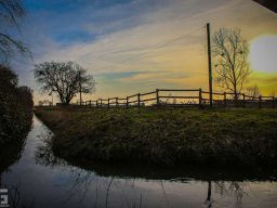 Unser Ort &raquo; Frühling