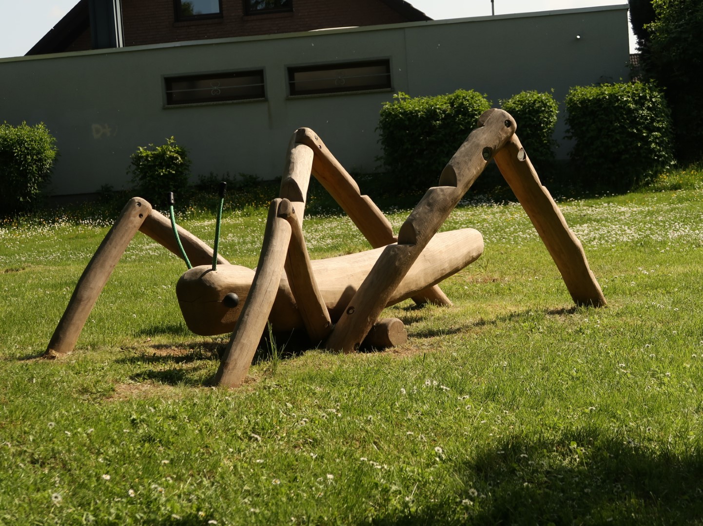 Heuschrecke auf dem Spielplatz an der Kleinen Erft