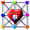 LOGO Netzwerk QI 100