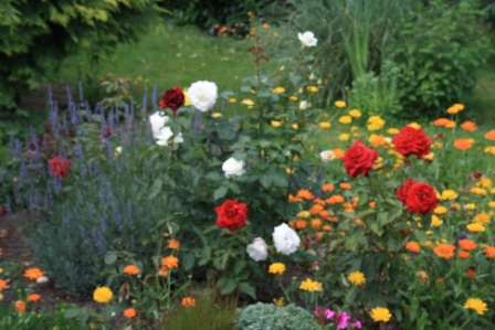 garten 1